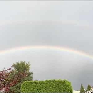 Meet your Posher, Tyrene